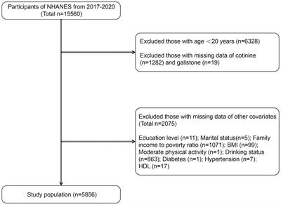 The link between serum cotinine levels and gallstones prevalence in adults: a cross-sectional analysis using NHANES data (2017–2020)